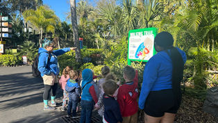 Families can now take a walk on the wild side on New Wellness Trail at ZooTampa