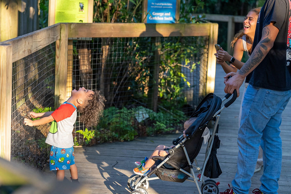Sunset at the Zoo - Celebrating Hispanic Heritage