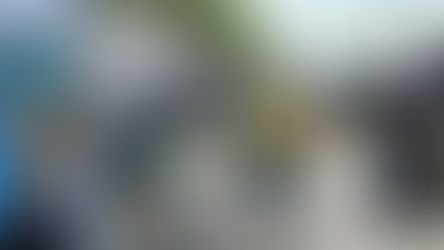 The 60th Annual DeLand Outdoor Art Festival returns with a huge selection of artisans and crafters