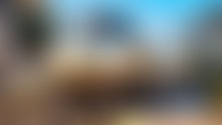 Football Fans can ride SunRail for FREE to the 2024 Pro Bowl Games at Camping World Stadium