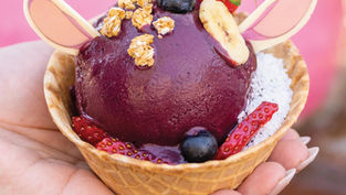 Delicious New Munchling Treats are now available at Walt Disney World