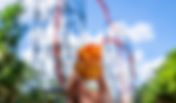 Busch Gardens Tampa Bay celebrating National Creamsicle Day with FREE Creamsicle Cupcakes!