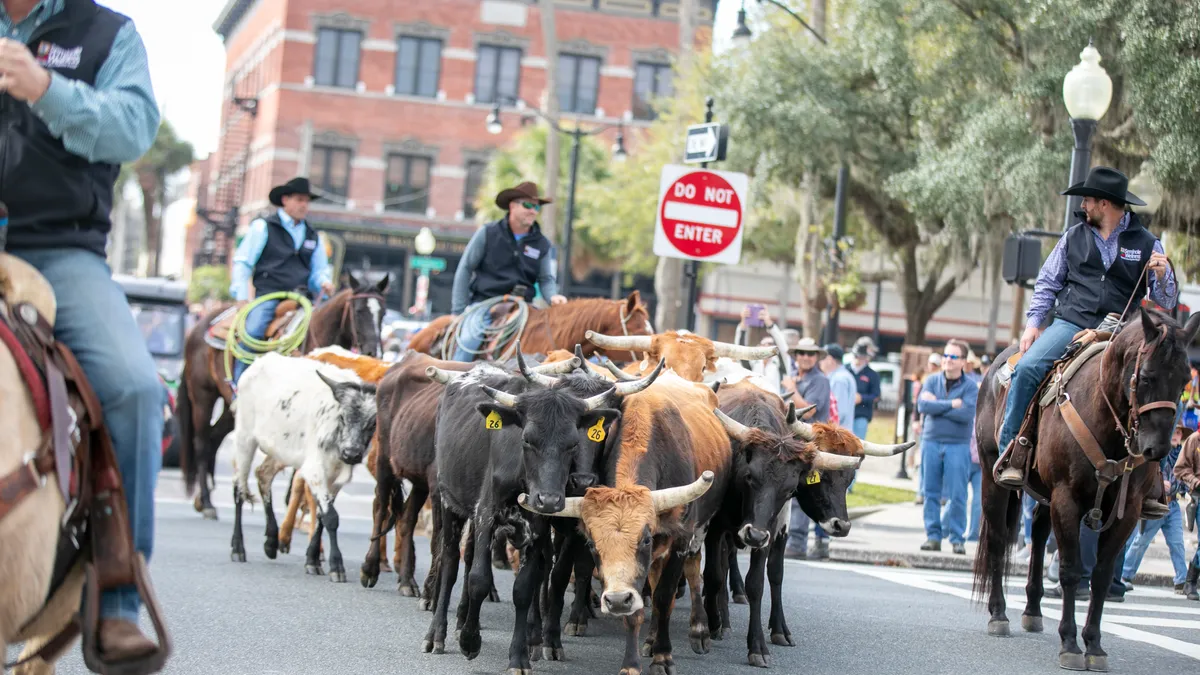 Ocala Saddles Up for Cattle Drive, Cowboy RoundUp and Duck Derby!