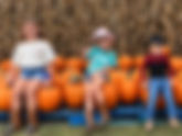 Fall into Fun at Great Scott Farms Fall Festival and Corn Maze in Mount Dora