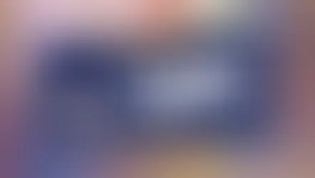 Disney World raise $1.5 Million for Make-A-Wish with 50th License Plate with new design coming soon