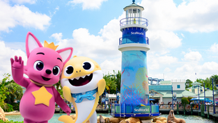 Doo Doo Doo along to SeaWorld Orlando and join Baby Shark and Pinkfong with meet & greets and more!