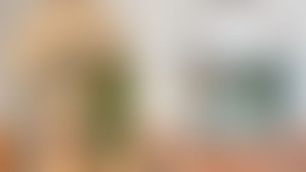 Grande Lakes Orlando's Primo named one of the best restaurants in the world in the latest Forbes Travel Guide 2024 Star Awards