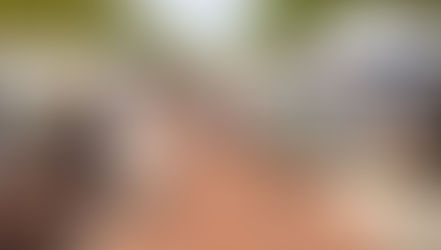 Celebrate art, music and community at the 2026 St. Johns River Festival of the Arts in Downtown Sanford