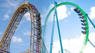 Flash Sale at SeaWorld Orlando & Busch Gardens Tampa Bay, get 2 Days, 2 Parks for only $99!