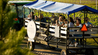 Hop into spring with Amber Brooke Farms for a fun-filled Easter Celebration at the farm!