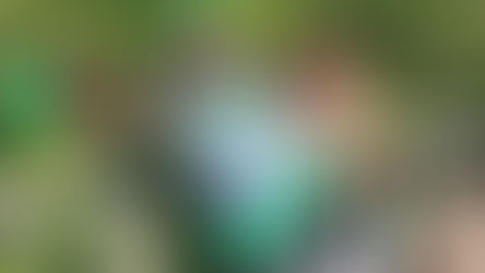 Hey Ya'll - Have the most Florida day ever as Gatorpalooza returns to Gatorland!