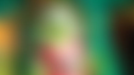 Universal Orlando kicks off its destination wide Holiday Celebration running through January 4, 2026