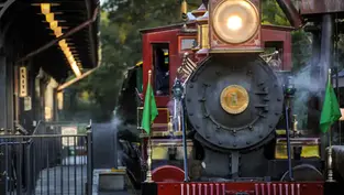 The Shuttered Attractions At Walt Disney World That Have Still NOT Received A Reopening Date