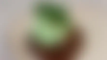 All the Limited Edition St. Patrick's Day Food and Drinks at Walt Disney World