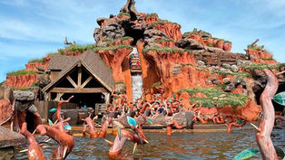 Yes... You Can Buy Splash Mountain Water from it's Last Day of Operations on eBay!