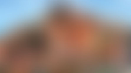 Yes... You Can Buy Splash Mountain Water from it's Last Day of Operations on eBay!