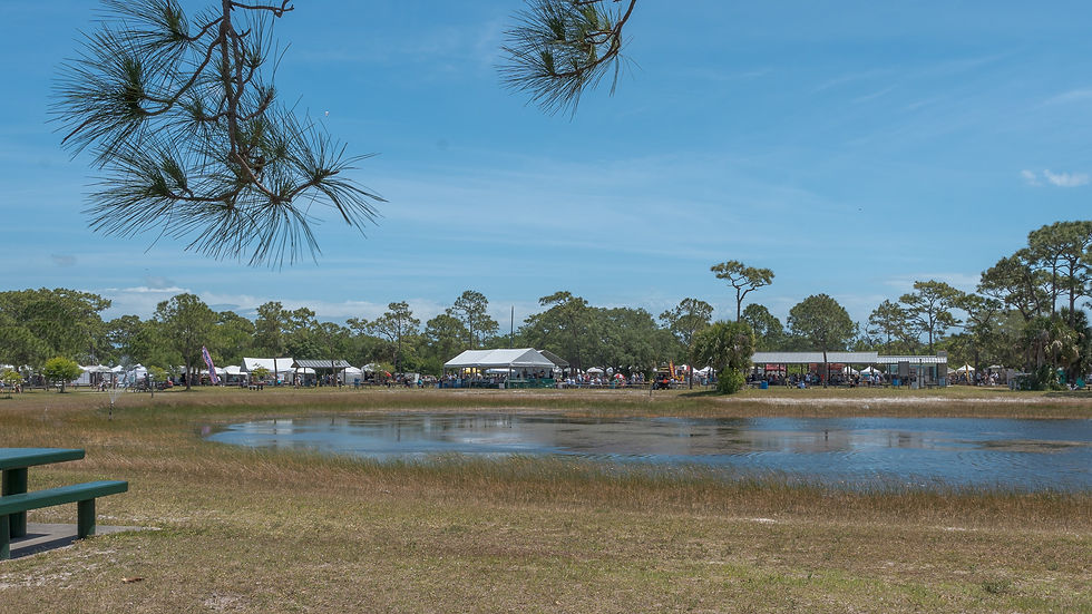 The 40th Melbourne Art Festival returns to Wickham Park featuring over 200 artists