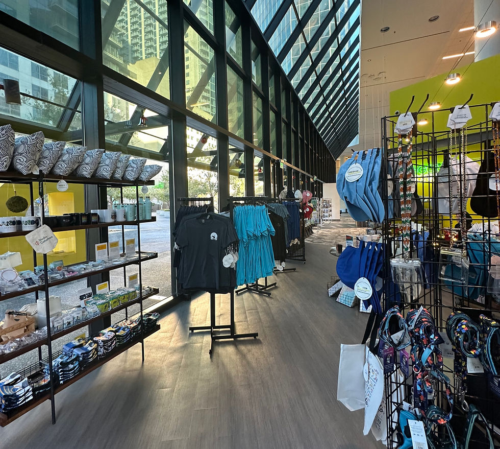 Downtown Orlando. Discover DTO gift shop interior with blue and black clothing on racks, shelves with bags and trinkets. Sunlight through large windows, urban setting.