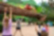 5 Fitness Activities at Walt Disney World that families can enjoy together!