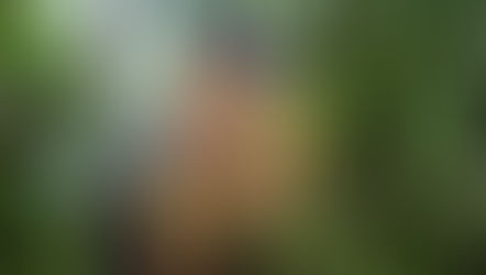 Orlando Road Trip: New Dinos & Dragons Exhibit Roars Into New Port Richey