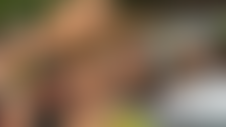 Two Major Walt Disney World Attractions Closed From Today For Refurbishment