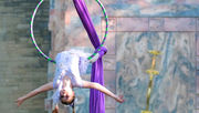 Enjoy a magical day filled with fairy fun as the enchanting Fairy Festival returns to Bok Tower Gardens