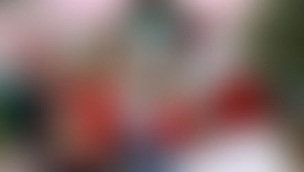 Busch Gardens Tampa Unwrap Limited Time Holiday Sale Now Through December 25