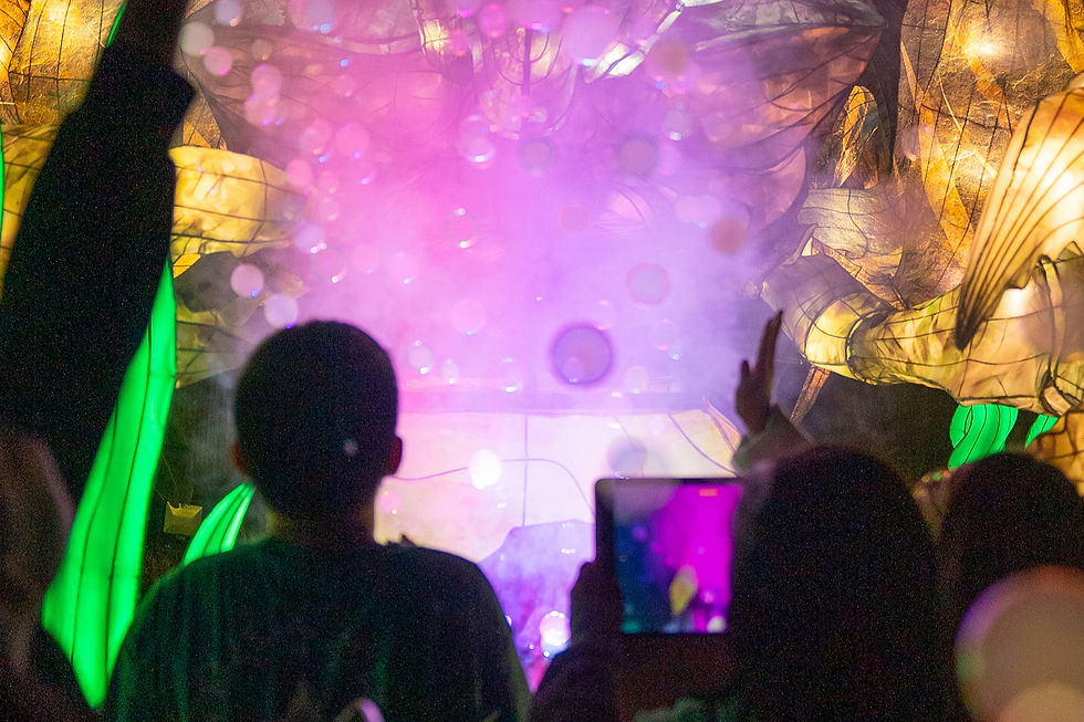 Early New Year at Asian Lantern Festival