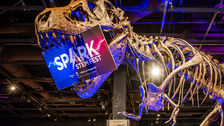 Explore, discover, and ignite your imagination as Spark STEM Fest returns to Orlando Science Center
