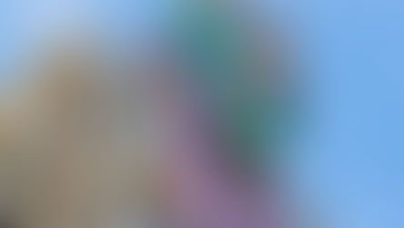 Busch Gardens Tampa Returns Tomorrow, Saturday October 1 Including Howl-O-Scream