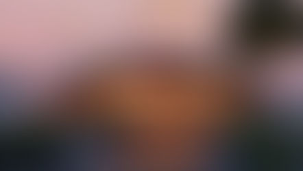 New land - Pueblo Esperanza coming to Disney's Animal Kingdom featuring new Carousel