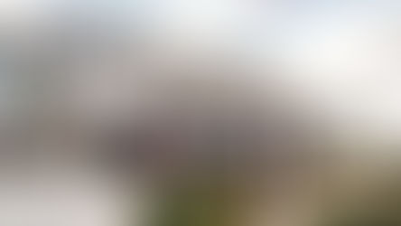 Help The Sunshine Flyer Decide New Make-A-Wish Bus Wrap!