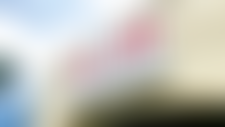 Popular Dr Phillips Restaurant, La Boucherie closes after five years