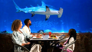 Treat Dad to Father's Day Brunch and Dinner in Orlando 2026