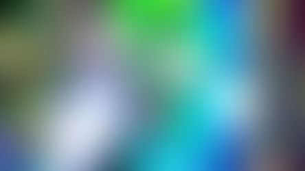 Florida's Cann-Festival returns this weekend to Renninger's Antique Center in Mount Dora