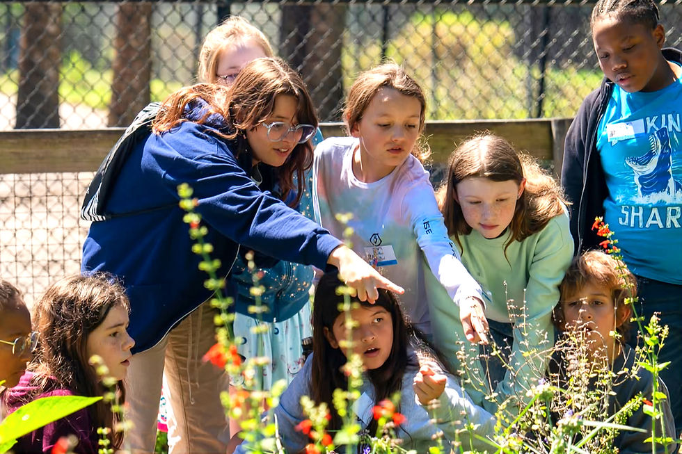 Join Central Florida Zoo for a weekend of nature,  plants, and community at Party for the Planet and a Plant Sale!