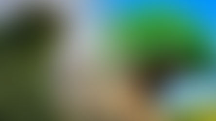 Walt Disney World introduce Florida Resident 2-Park Explorer Ticket for EPCOT and Animal Kingdom