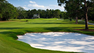 Join the City of Orlando and celebrate Dubsdread Golf Course turning 100 years old!