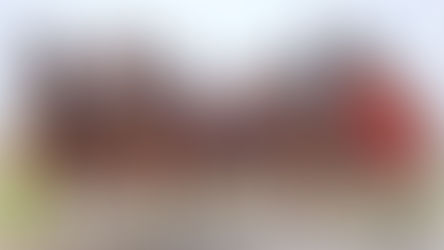 The Iconic Budweiser Clydesdales Trot Into ICON Park Orlando For The Holidays This Weekend