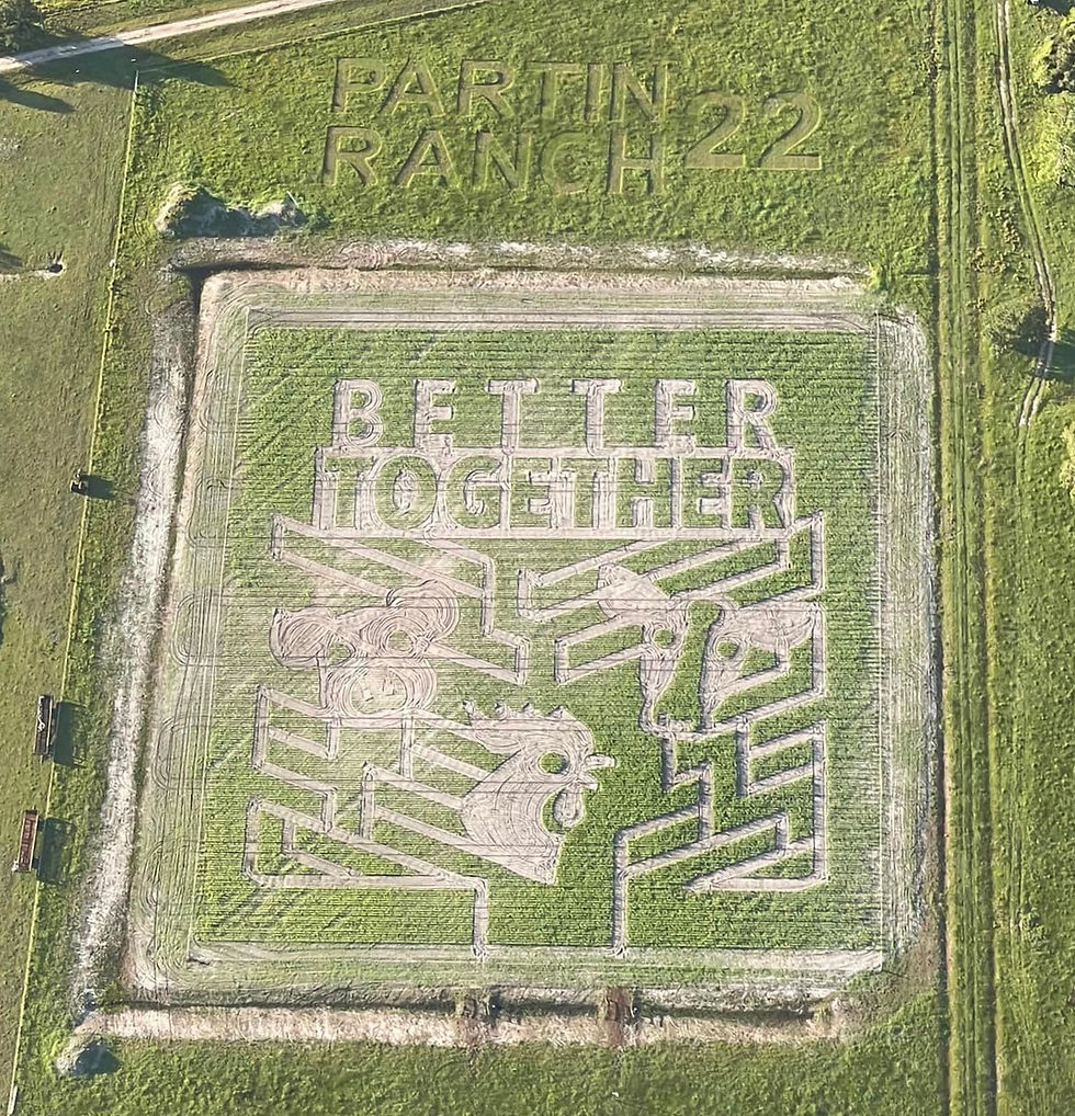 Fall into the Best Corn Mazes in Orlando 2023