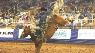 The 150th Silver Spurs Rodeo rides back into Kissimmee this February