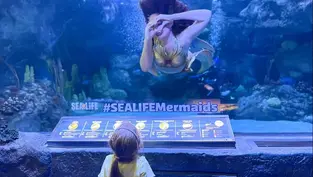 Meet A Mermaid At SeaLife Orlando Aquarium This October