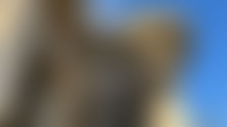 New details revealed about the Architectural Inspirations for Villains-Themed Land at Magic Kingdom