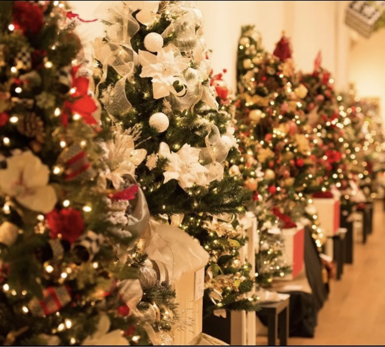 Festival Of Trees Returns To Orlando Museum Of Art