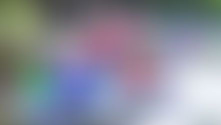 The Top 10 Things To Do in Orlando this Weekend, January 16 - 18, 2026