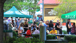 The 25th Annual Mount Dora Taste returns to Sunset Park for a night of food, music and community