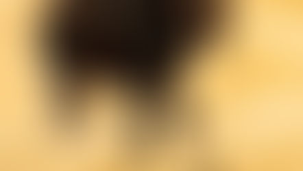 Meet Beni The Cutest Baby Okapi Born At Disney’s Animal Kingdom Lodge