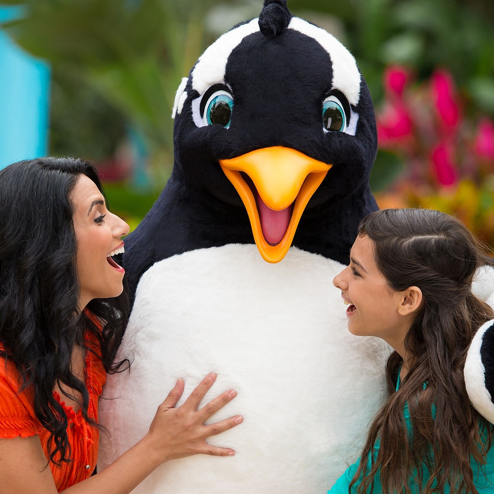 SeaWorld Orlando to launch year-long 60th Anniversary Celebrations with Huge Launch Party!