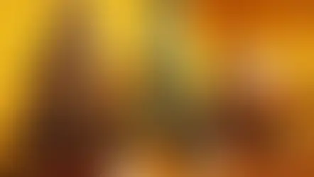 The Festival of Trees, Enchanted Holidays returns to Orlando Museum of Art for the holidays