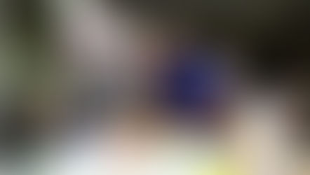 George W. Bush Institute 'Portraits of Courage Exhibit' debuts at EPCOT